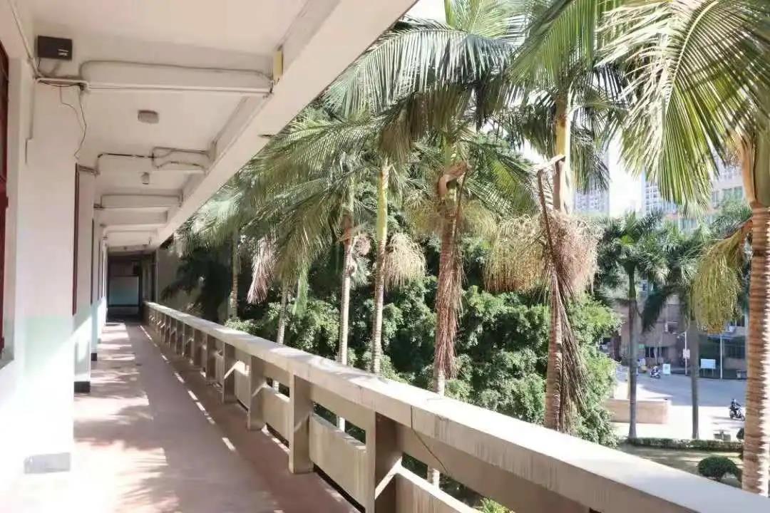 澳门太阳集团0638